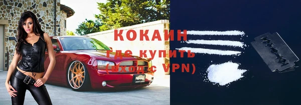 дмт Горно-Алтайск