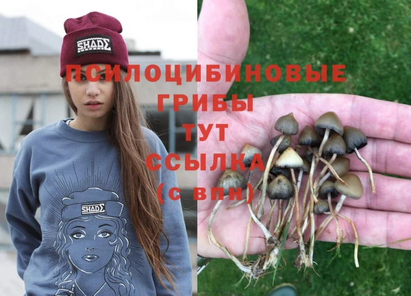 винт Горняк