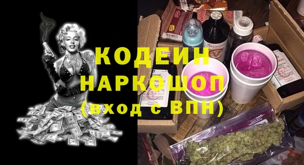 гашик Гусев