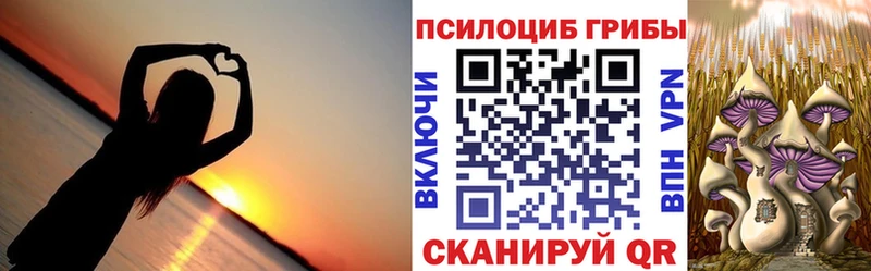 Галлюциногенные грибы мицелий  купить  цена  shop клад  Ельня 